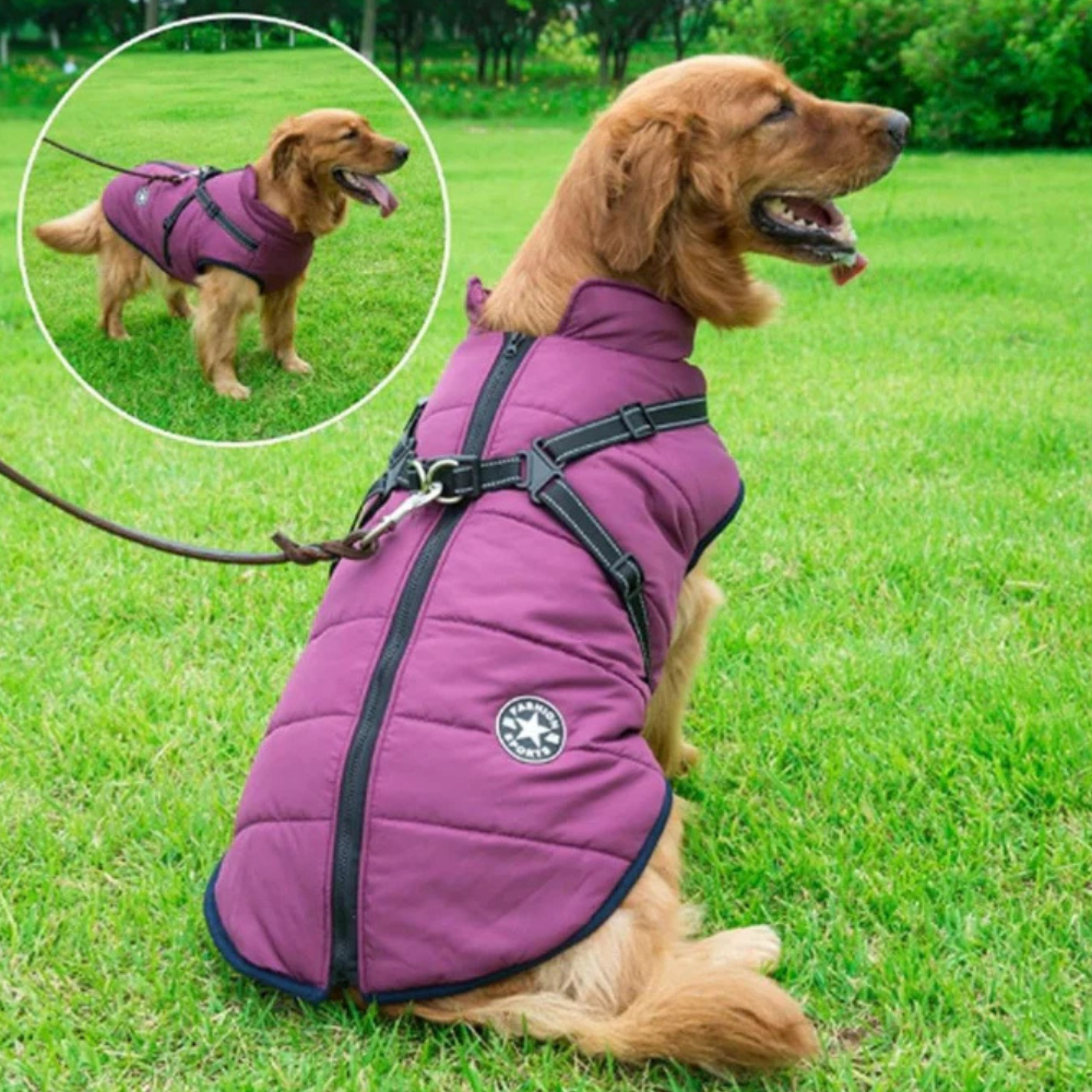 Waterproof Dog Coat