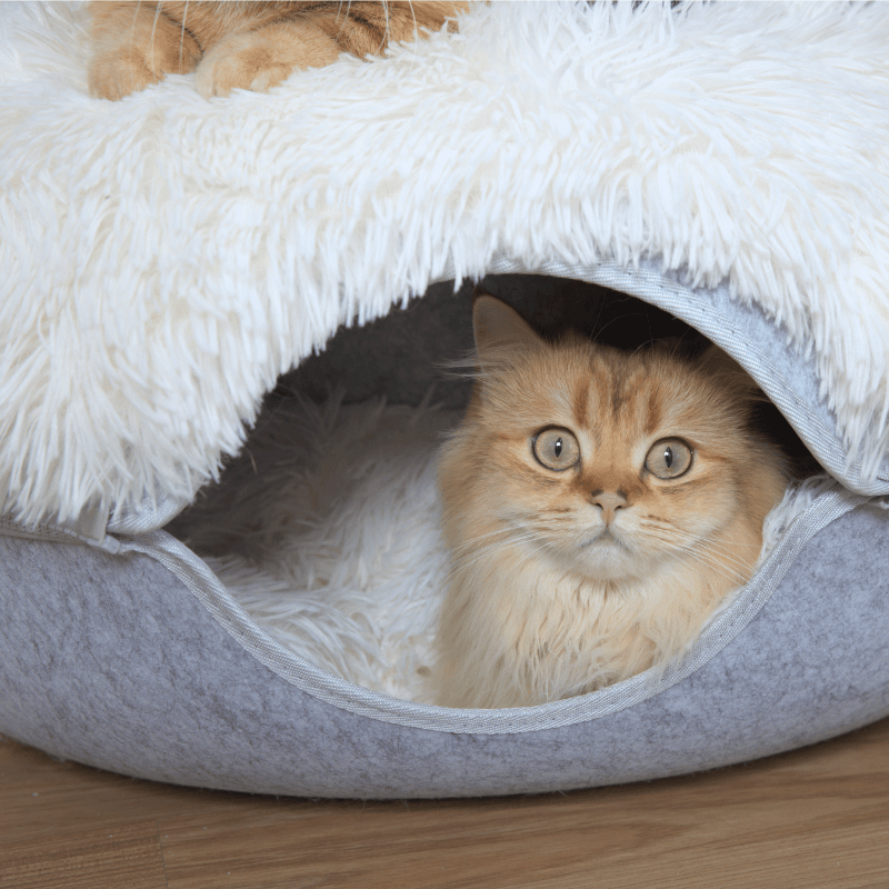 Cat Cave Calming Donut Bed for Anxiety Relief & Cozy Sleeping