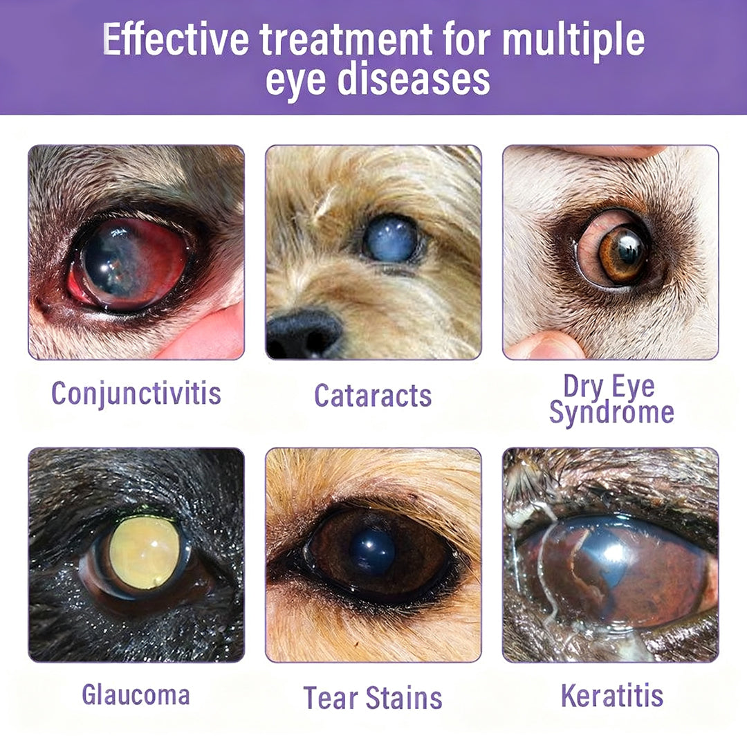 Pet Eye Drops | Relieves Dry Eyes, Cataracts & Redness TARHUS  LCH