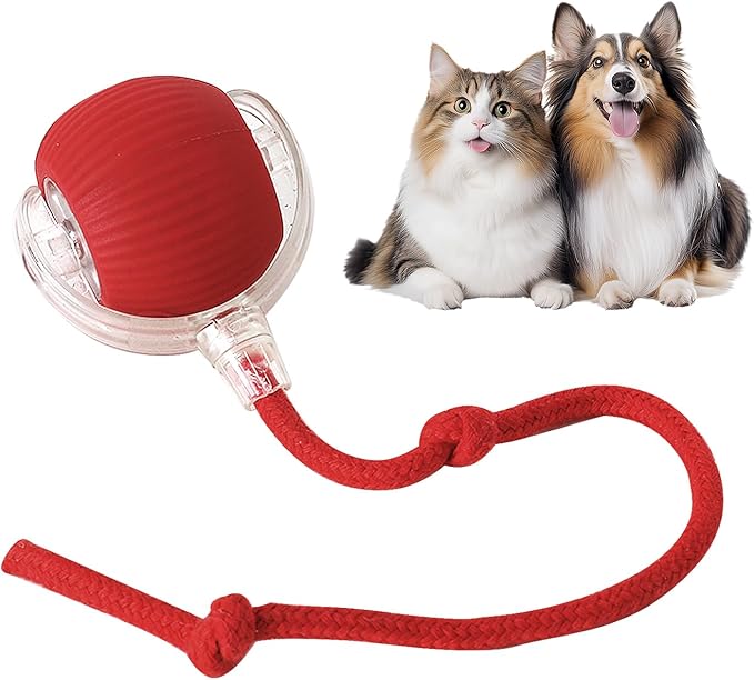 Rollraptor interactive pet toy ball - TARHUS
