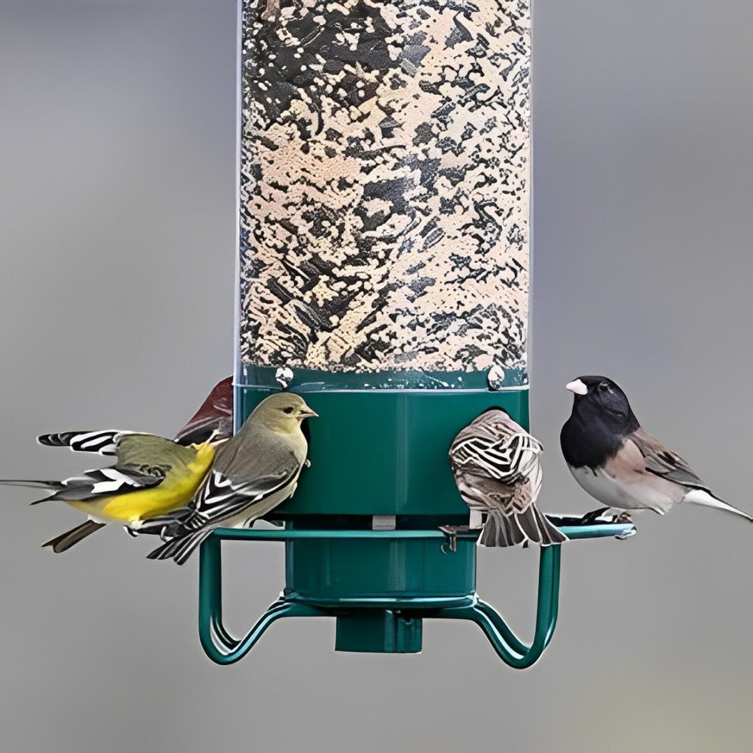 Squirrel-Proof Bird Feeder – Weather-Resistant Hanging Feeder for Wild Birds - TARHUS