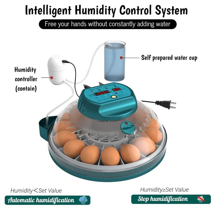 15-Egg Digital Egg Incubator – Automatic Temperature & Humidity Control - TARHUS