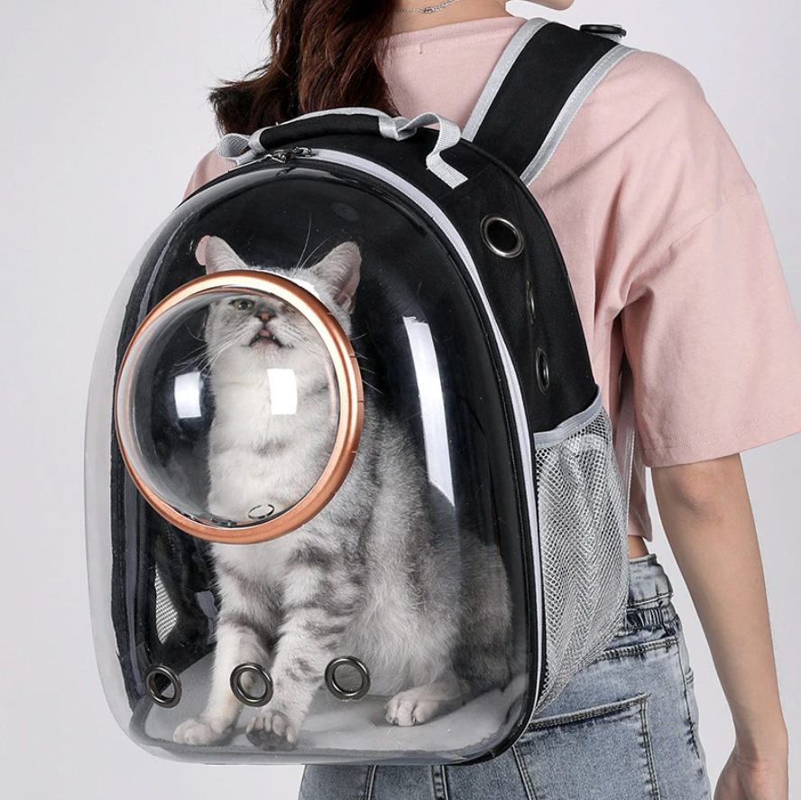 AstroPaws Cat Backpack Carrier – Space Bubble Window Travel Bag